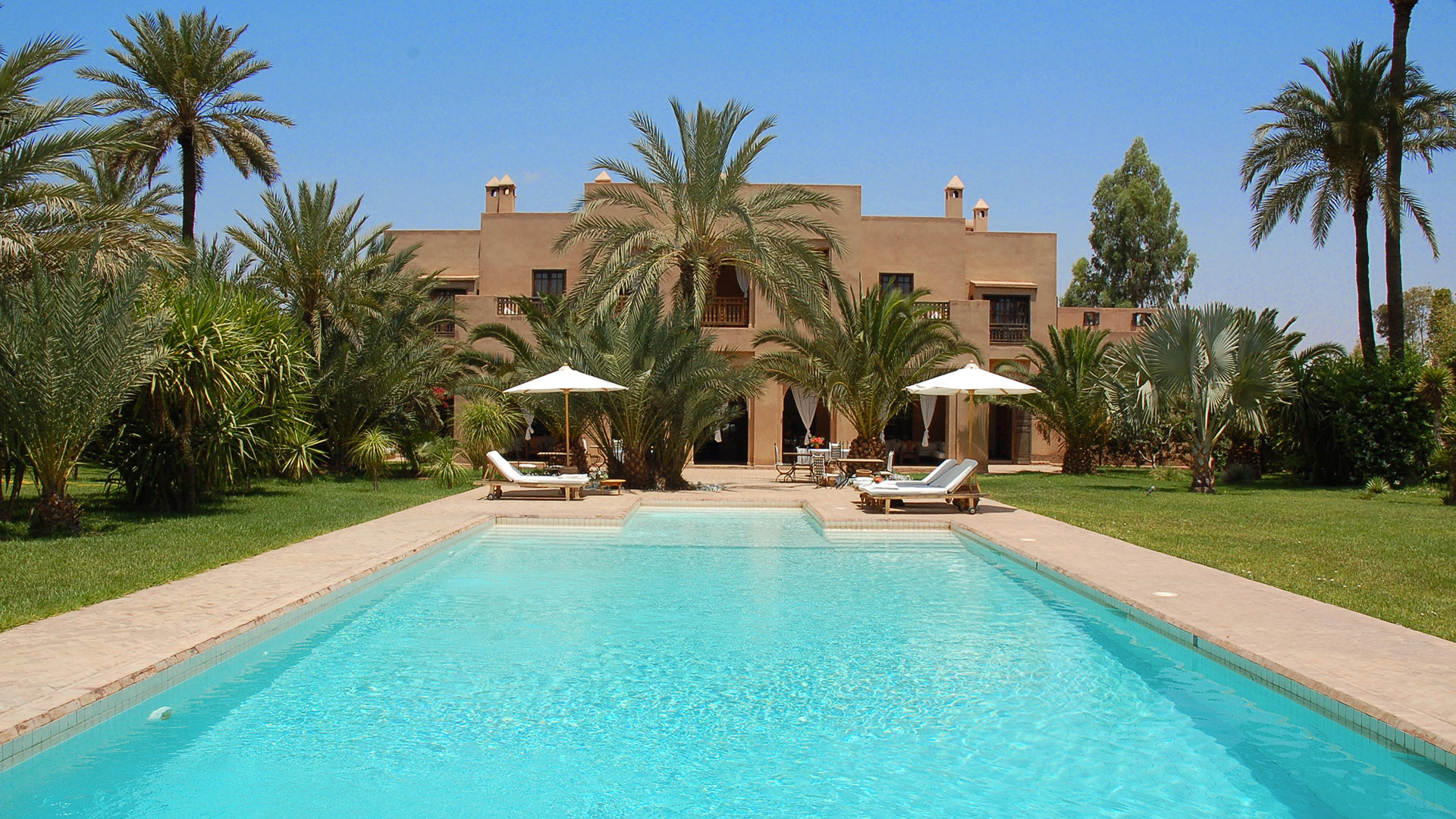 Villa avec piscine et palmiers prête à accueillir des voyageurs à Marrakech